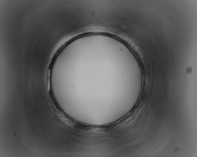 X0000100751175200807171404