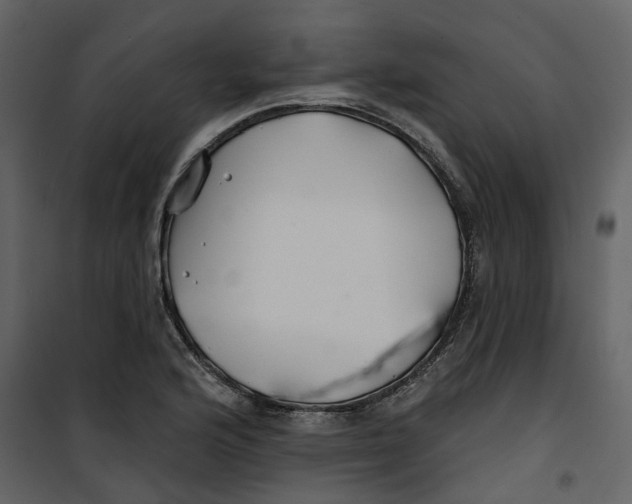 X0000100751176200807171404