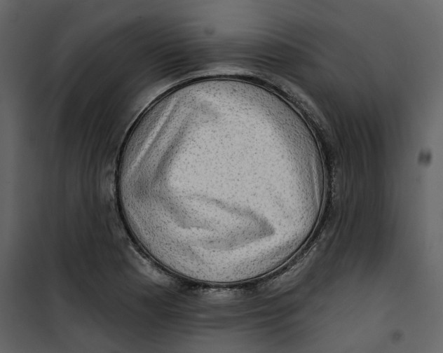 X0000100751177200807171404