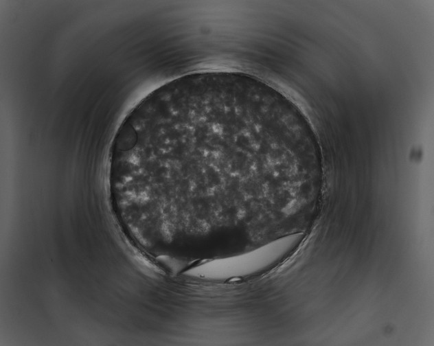 X0000100751179200807171404