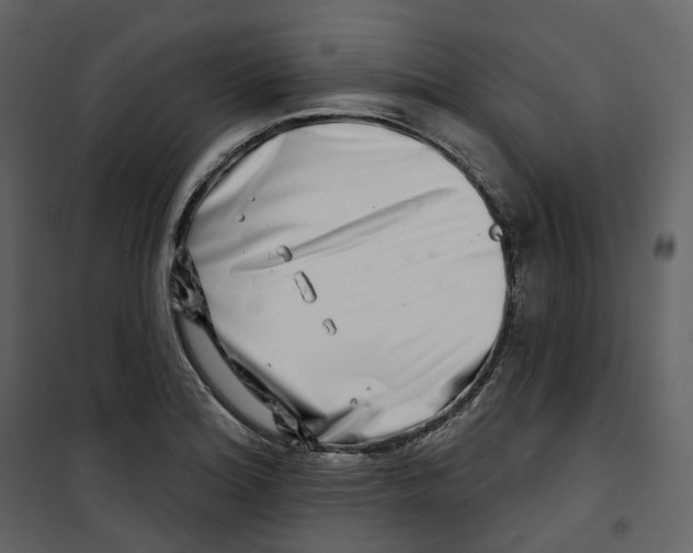 X0000100751180200807171404