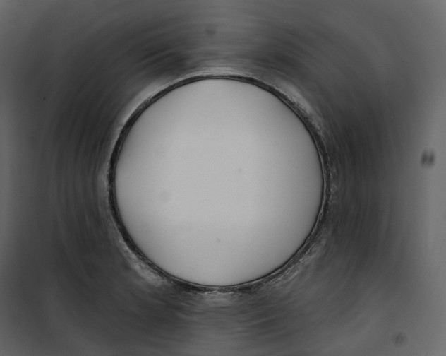 X0000100751181200807171404
