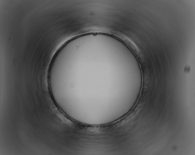 X0000100751182200807171404