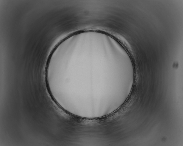 X0000100751183200807171404