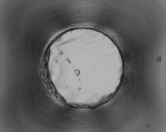 X0000100751184200807171404