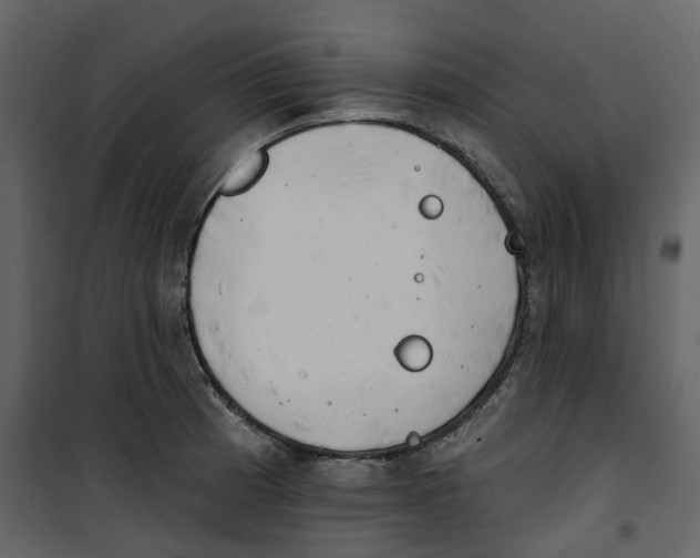 X0000100751185200807171404