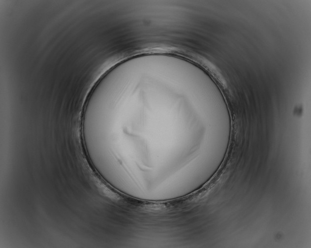 X0000100751186200807171404