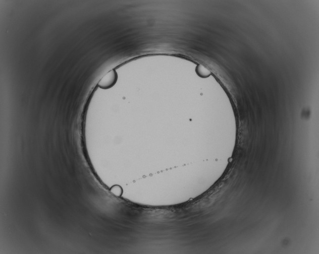 X0000100751187200807171404