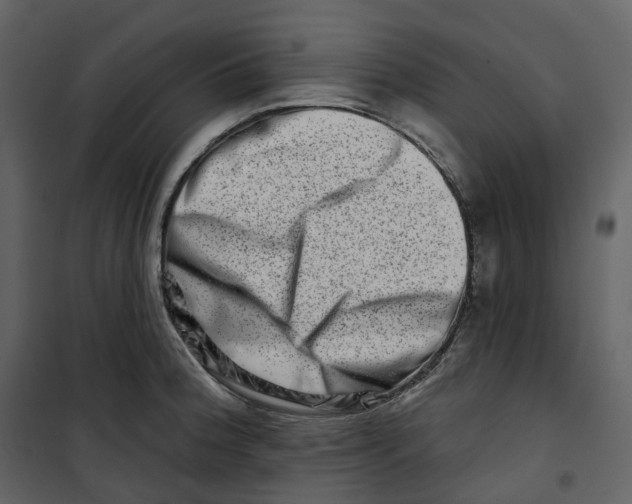 X0000100751188200807171404