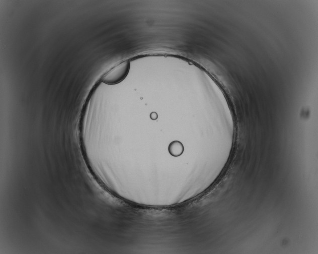 X0000100751189200807171404