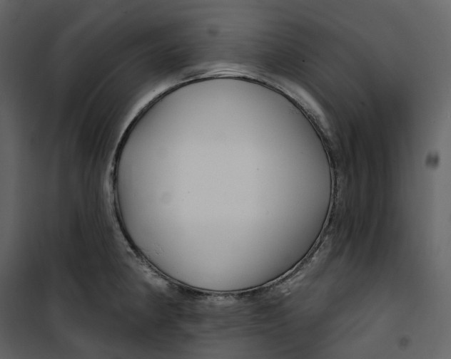 X0000100751190200807171404