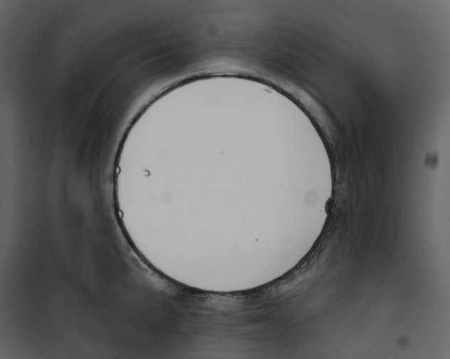 X0000100751191200807171404