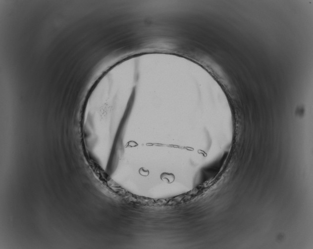 X0000100751192200807171404