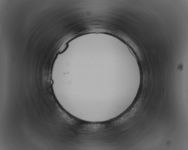 X0000100751193200807171404