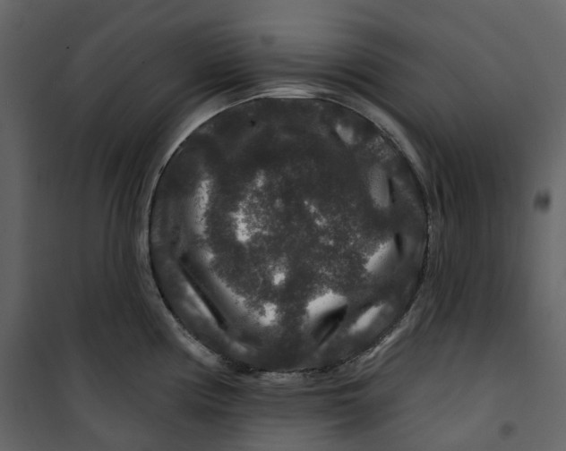X0000100751194200807171404