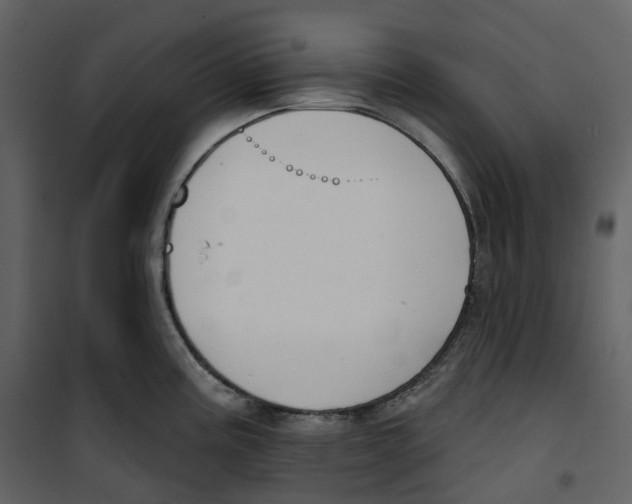 X0000100751195200807171404