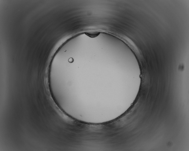 X0000100751196200807171404