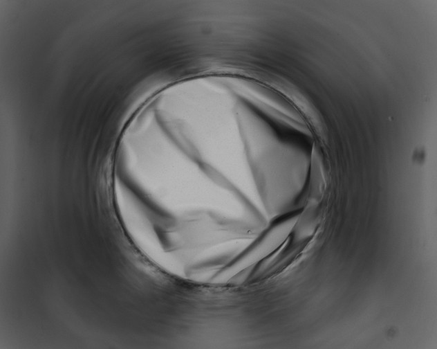 X0000100751198200807171404