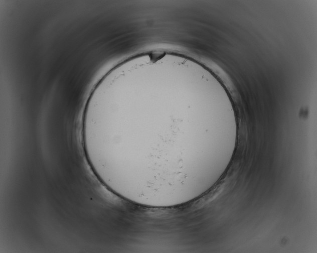 X0000100751199200807171404
