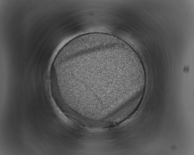 X0000100751200200807171404