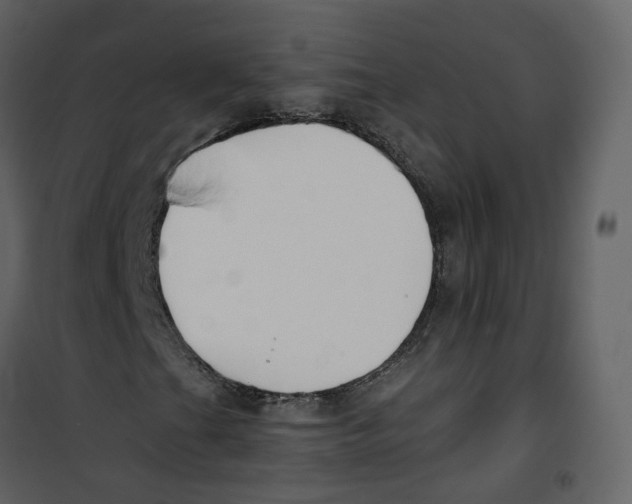 X0000100751201200807171403