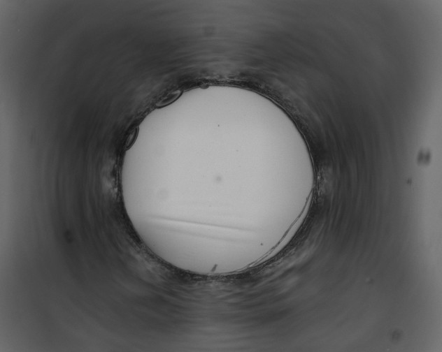 X0000100751202200807171403