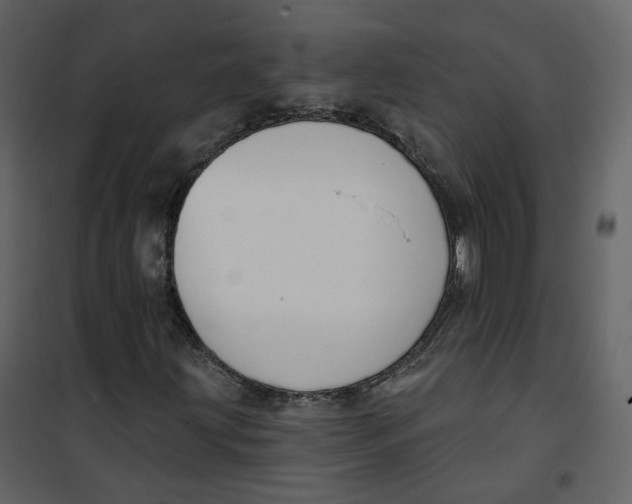 X0000100751203200807171403