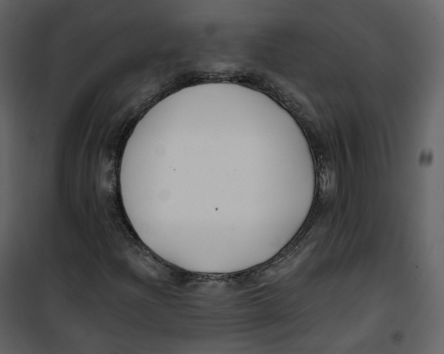 X0000100751204200807171403