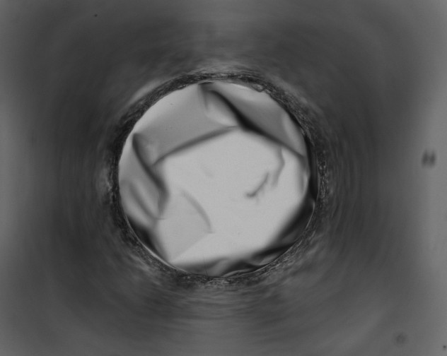 X0000100751206200807171403