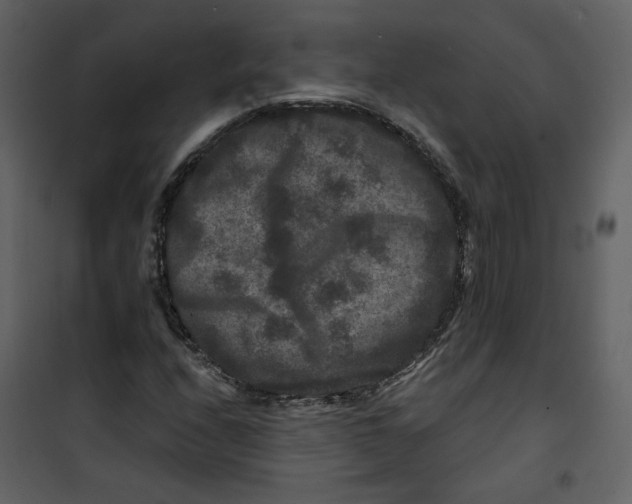 X0000100751208200807171403