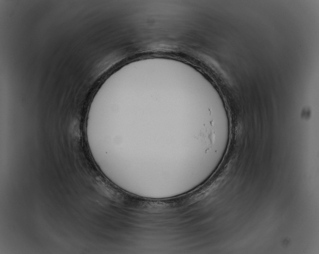 X0000100751209200807171403