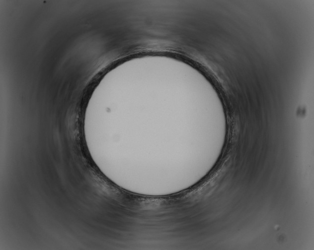 X0000100751211200807171403