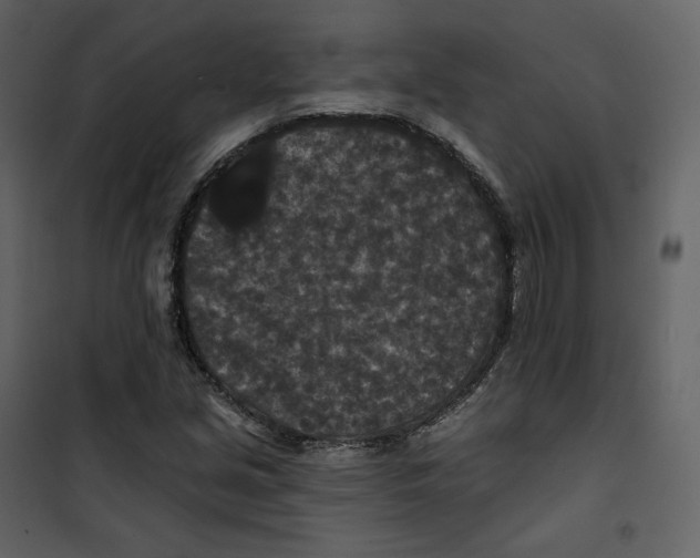 X0000100751213200807171403