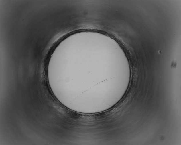 X0000100751215200807171403