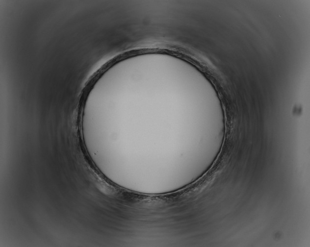 X0000100751216200807171403