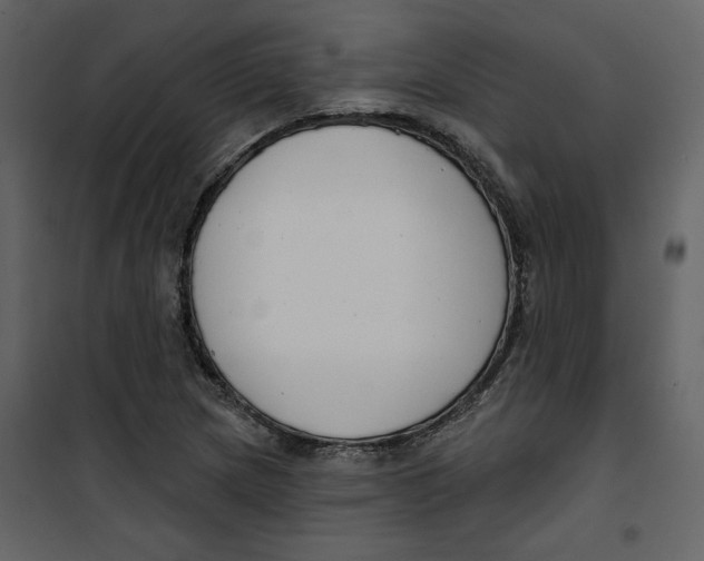 X0000100751217200807171403