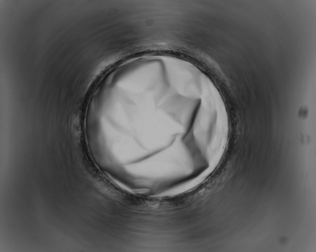 X0000100751218200807171403