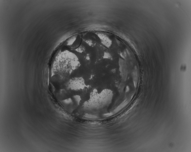 X0000100751219200807171403