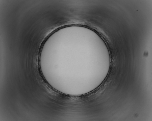 X0000100751220200807171403