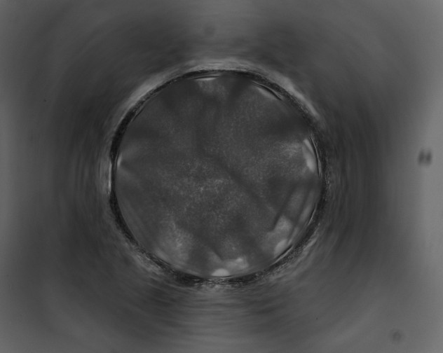 X0000100751221200807171403