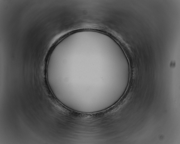 X0000100751222200807171403