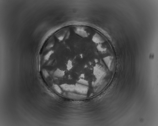 X0000100751223200807171403