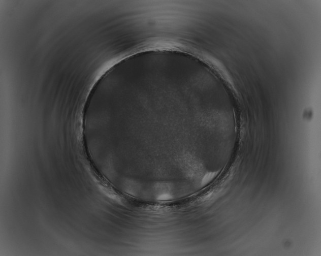 X0000100751226200807171403