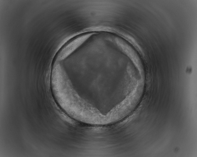 X0000100751228200807171403