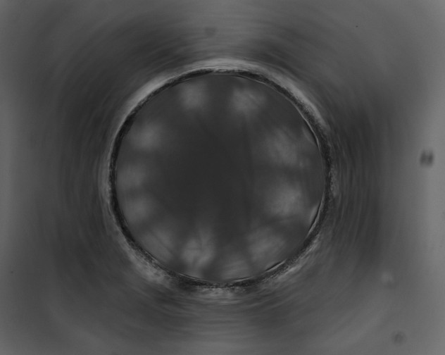 X0000100751229200807171403