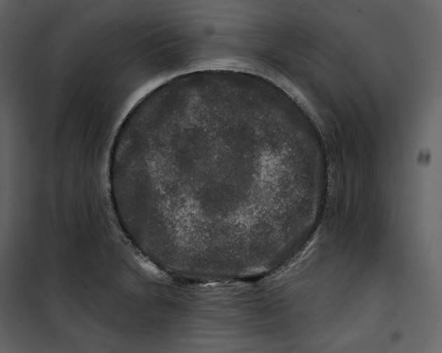 X0000100751230200807171403