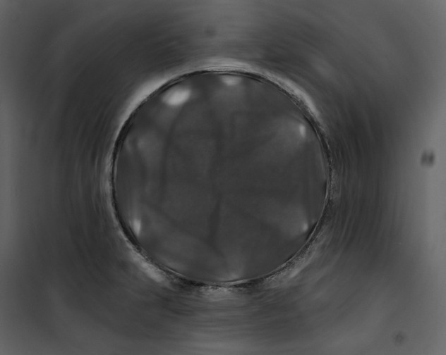 X0000100751231200807171403