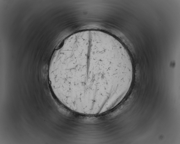 X0000100751233200807171404