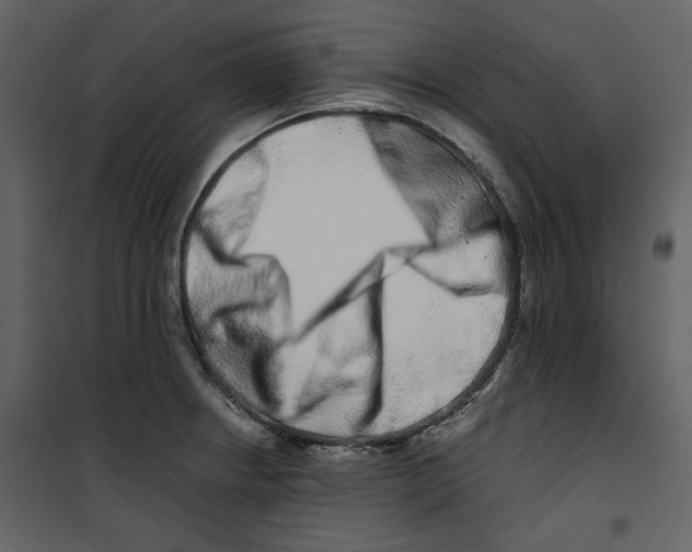 X0000100751234200807171404