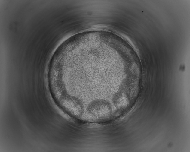 X0000100751235200807171404